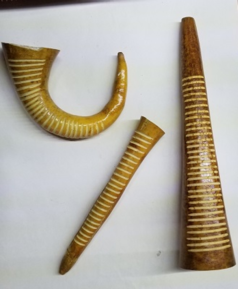 (imagen para) GÜIRO FRUTA CONO NATURAL O COLA CHICO 35cm aprox. (con rascador