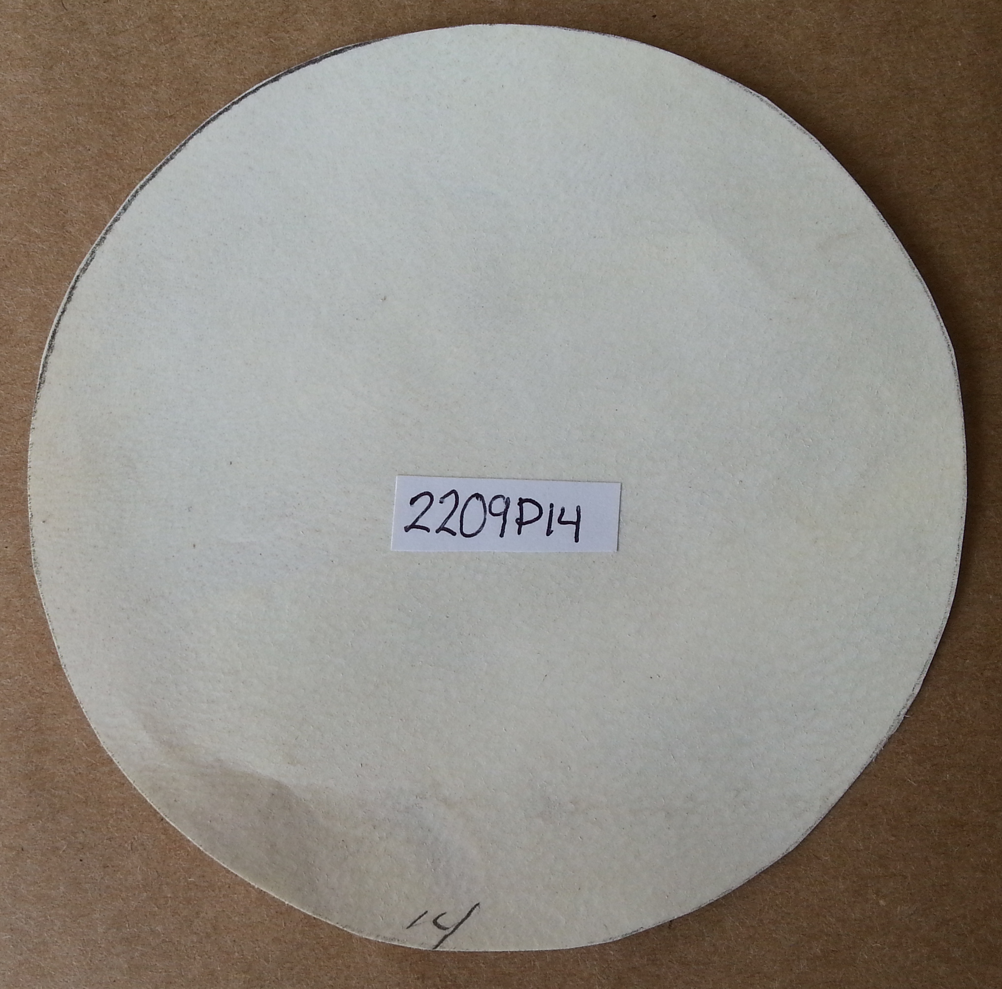 (imagen para) PARCHE PIEL 14 cm cabra, delgada