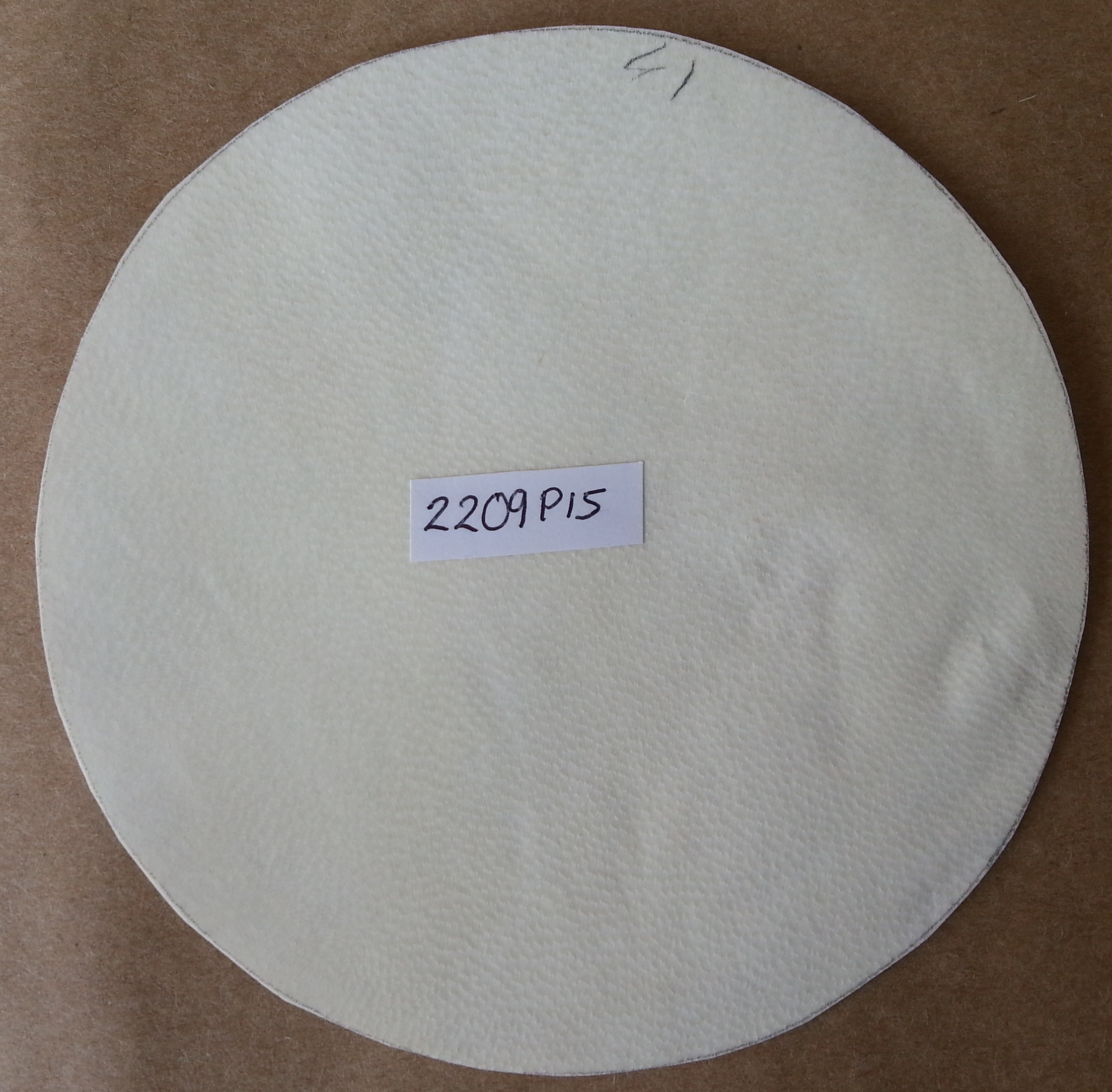 (imagen para) PARCHE PIEL 15 cm cabra, delgada