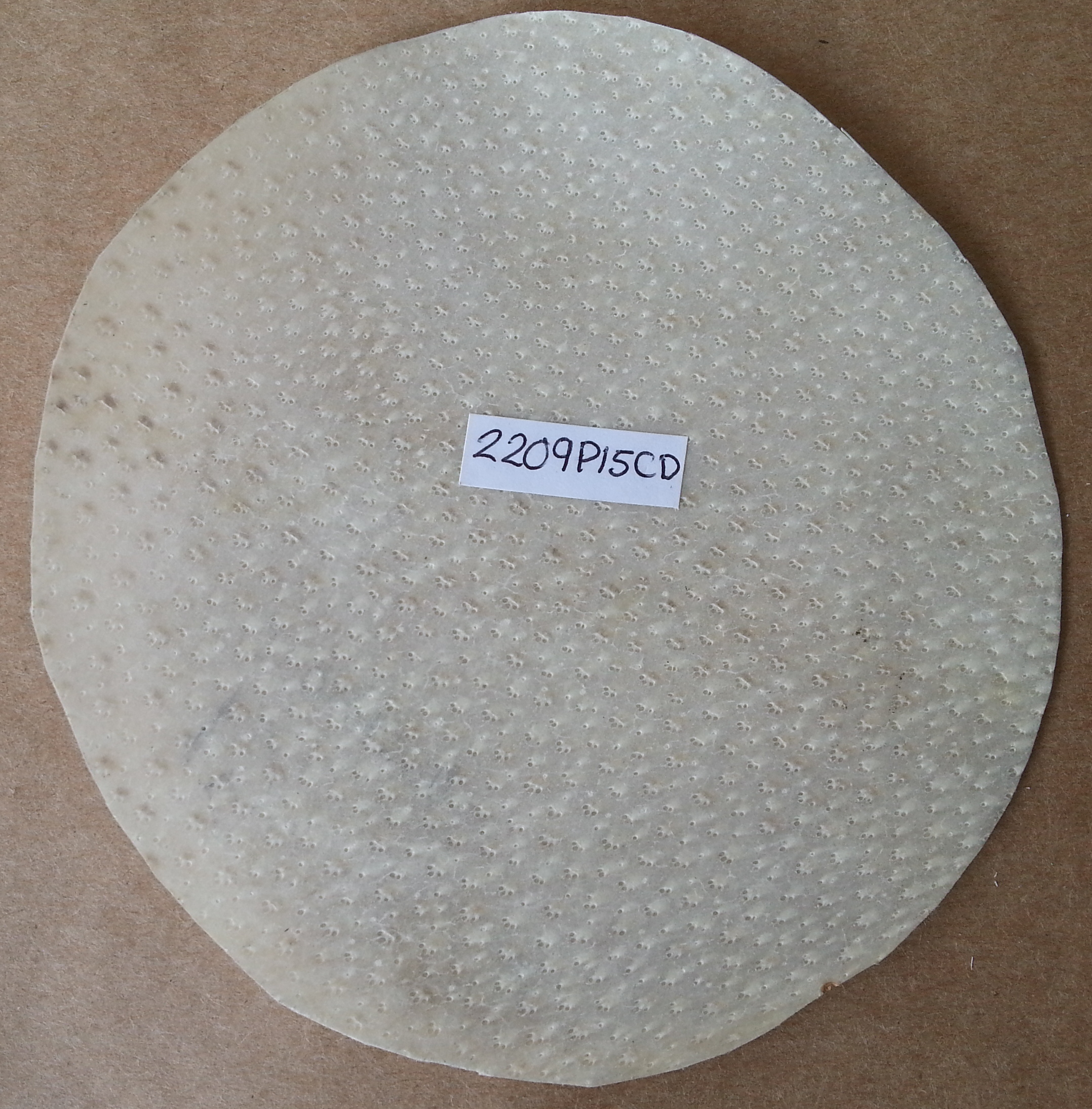 (imagen para) PARCHE PIEL 15 cm cerdo, delgada