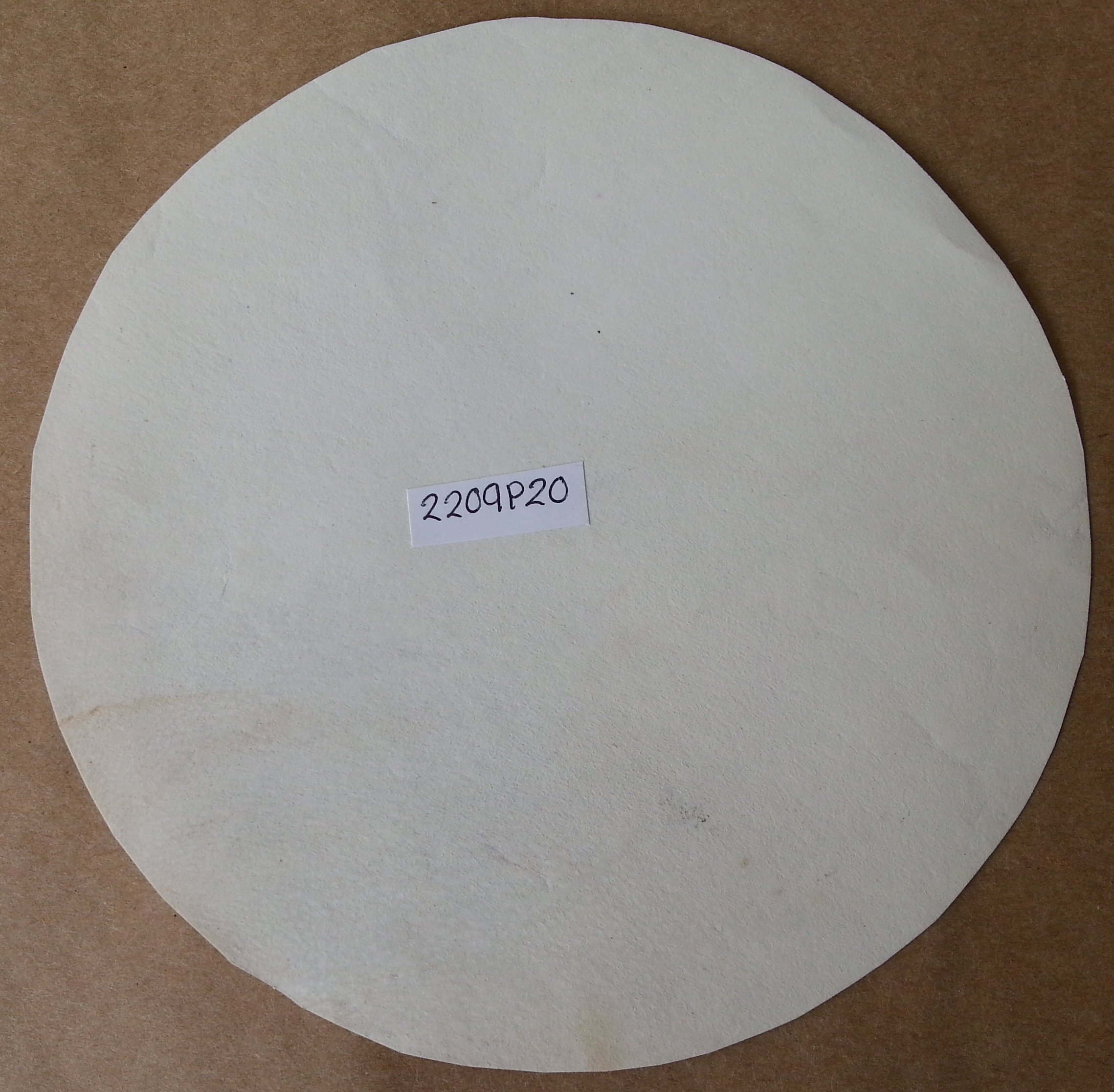 (imagen para) PARCHE PIEL 20 cm cabra, delgada