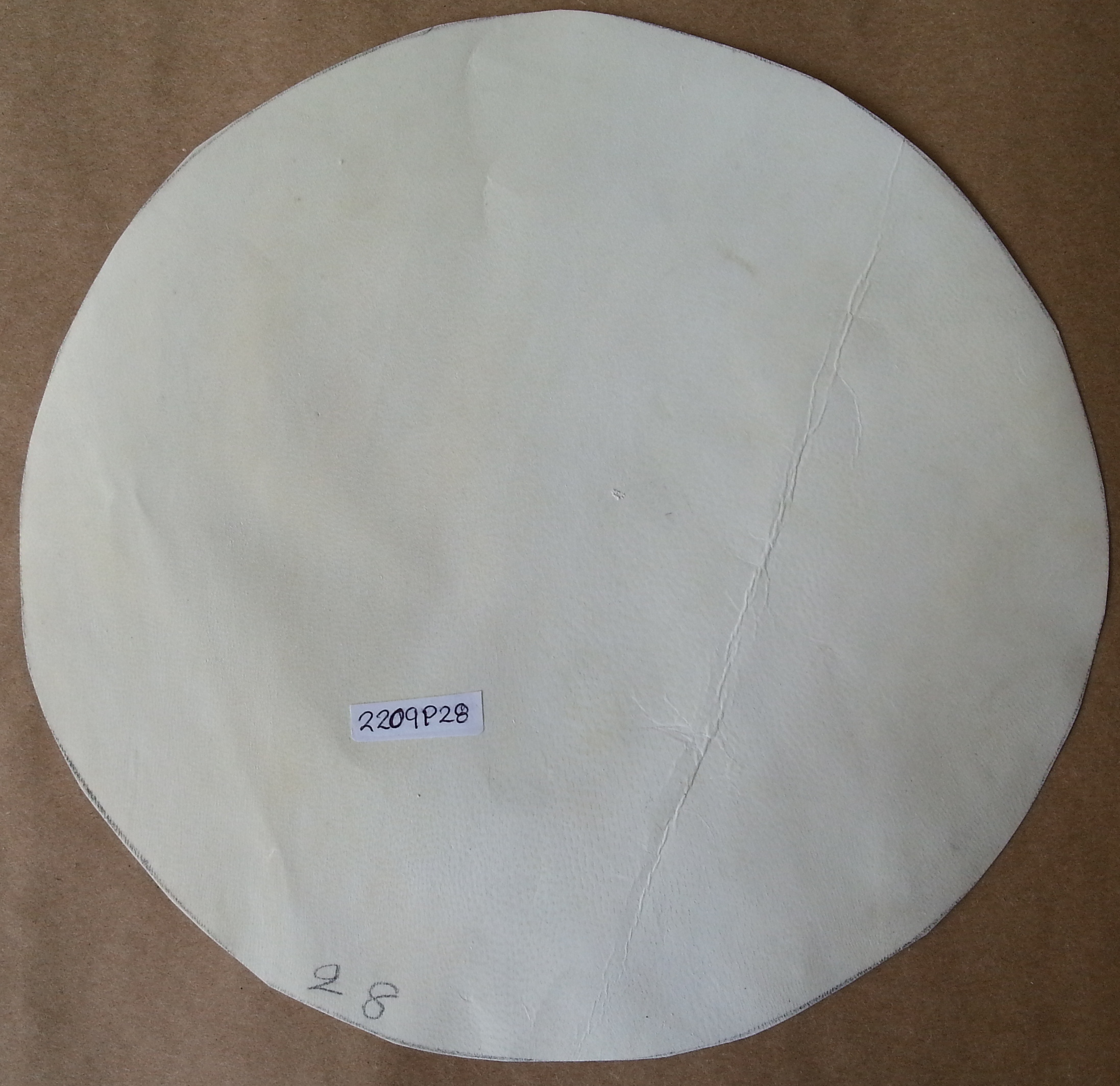 (imagen para) PARCHE PIEL 28 cm cabra, delgada