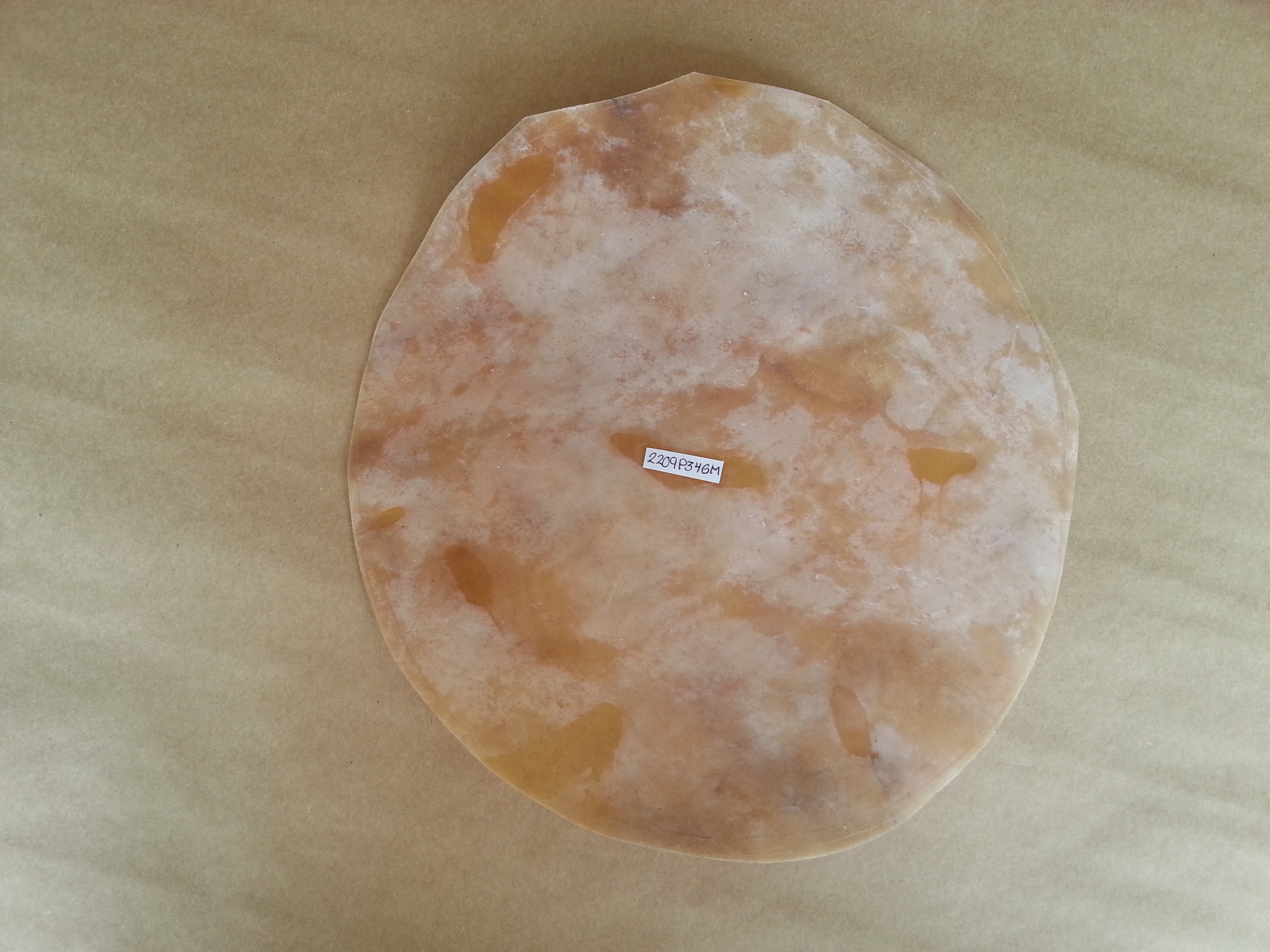 (imagen para) PARCHE PIEL 34 cm mula para BONGO o conga PROFESIONAL, gruesa