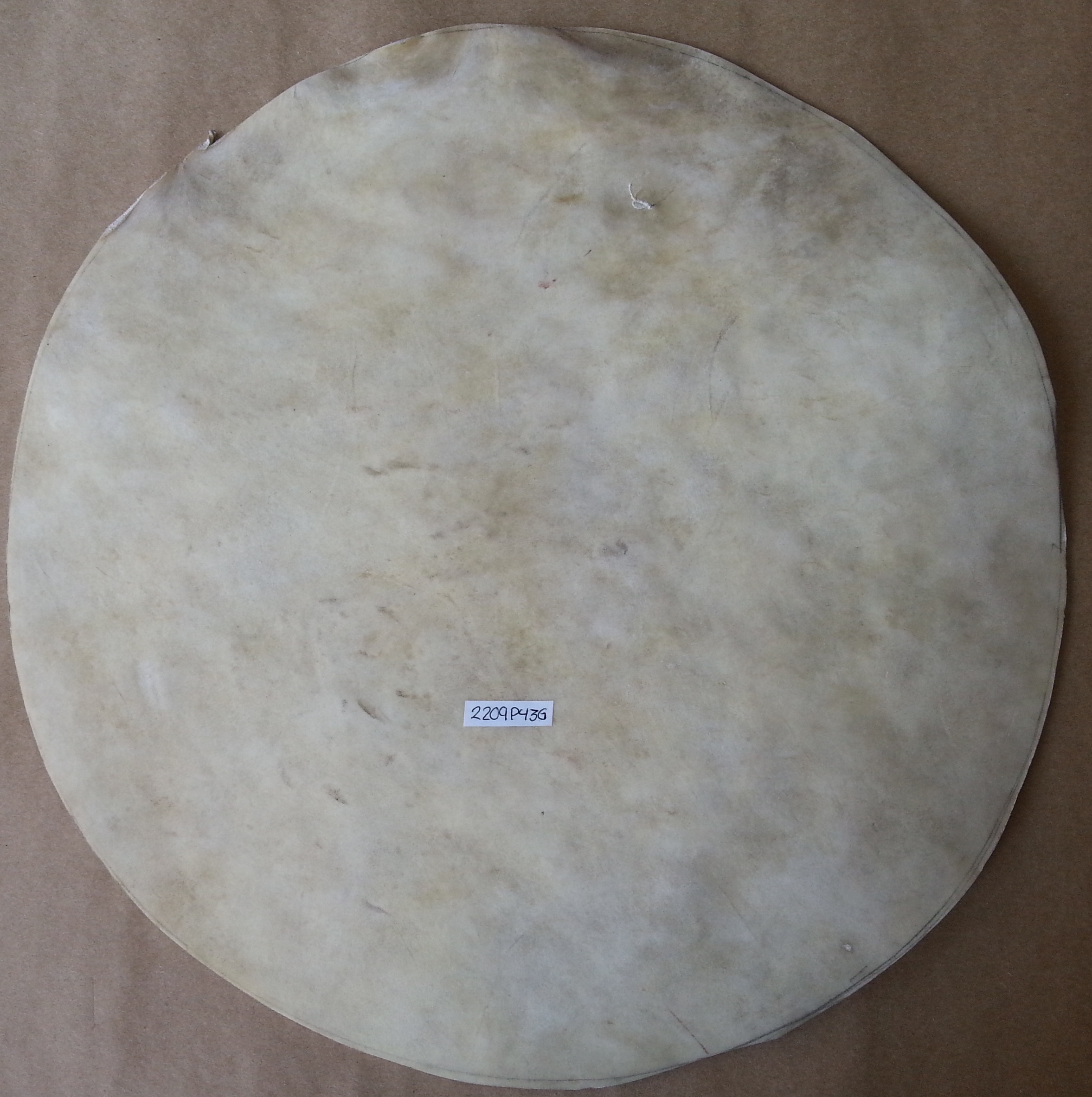 (imagen para) PARCHE PIEL 40 cm cabra