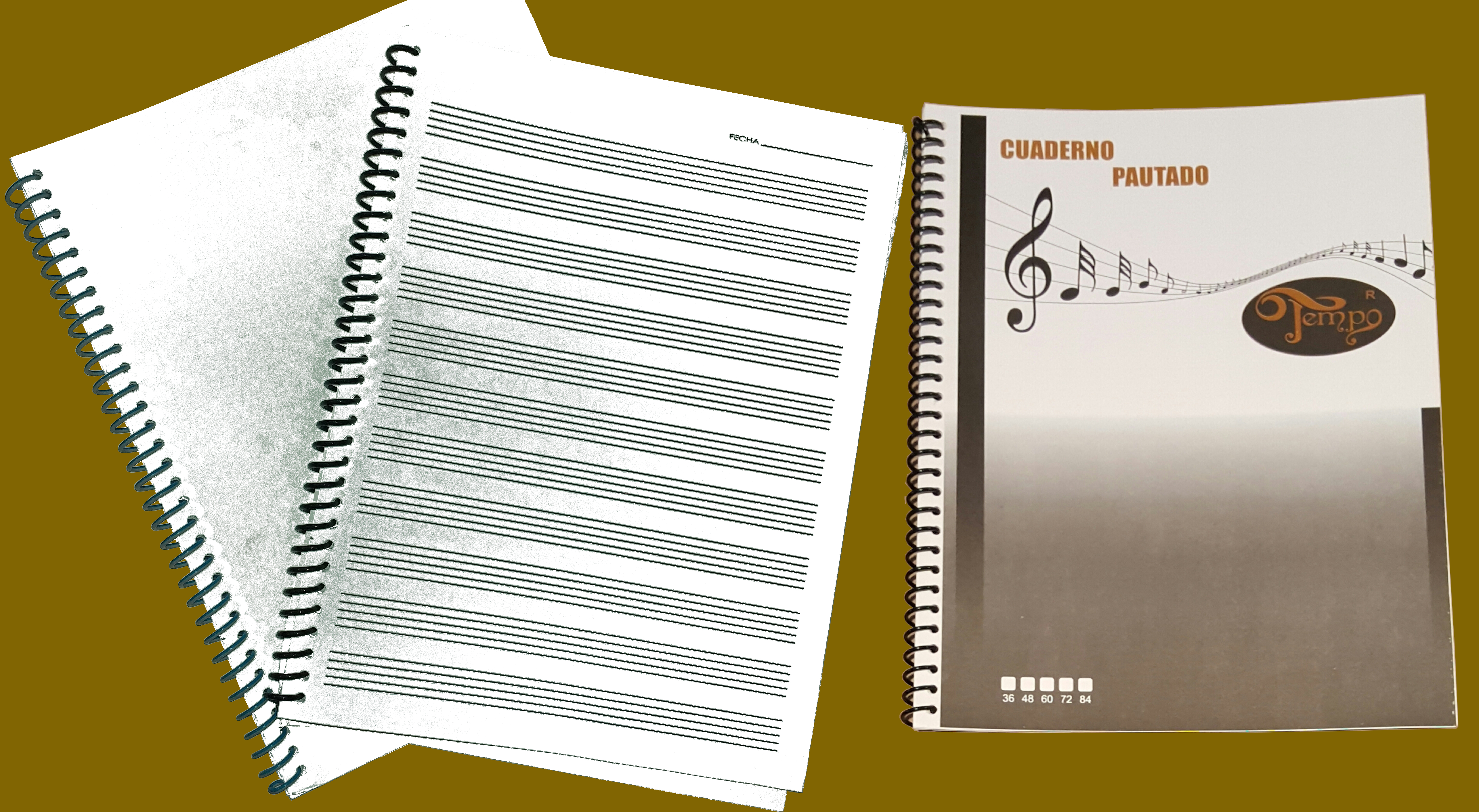 (imagen para) CUADERNOS 11 PAUTAS 24 hojas, 48 pags forma PROFESIONAL