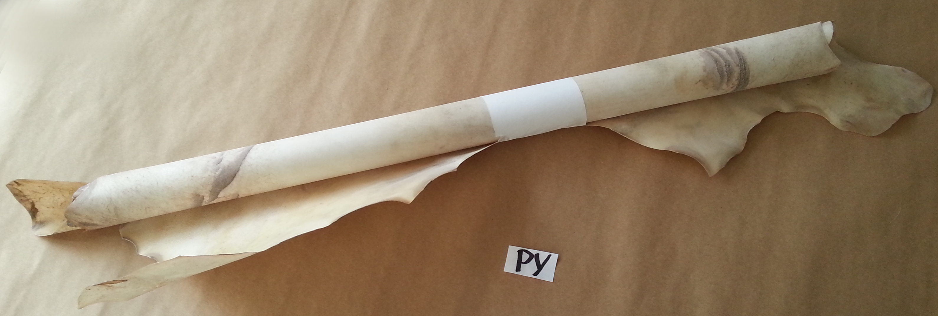 (image for) Complete skin for Djembe 